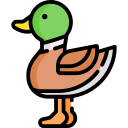 Pato icon