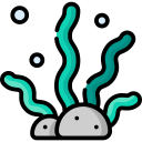 Alga marina icon