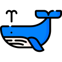 Ballena icon