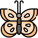 Mariposa icon