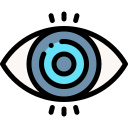 Ojo icon