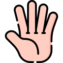 Five fingers 