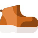 Zapato icon