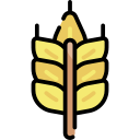 Trigo icon