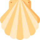 Scallop