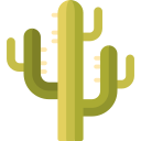 Cactus icon