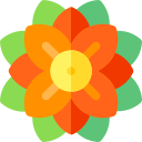 Mandala icon