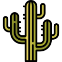 Cactus icon