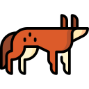 Coyote icon