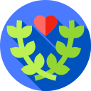 Corazón icon