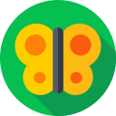 Mariposa icon