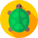 Tortuga icon