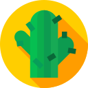 Cactus icon