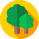 Bosque icon