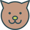 gato icon