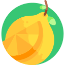 limón icon