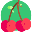 cereza icon