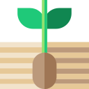 Planta icon