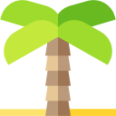 Palmera icon