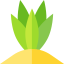 Agave icon