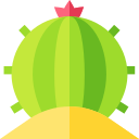 Cactus icon