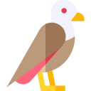 águila icon