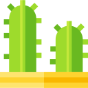 Cactus icon