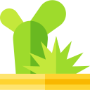 Cactus icon