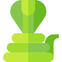 Serpiente icon