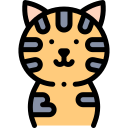 Gato icon