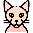 Gato icon