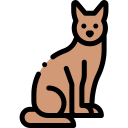 Gato icon