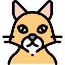 Gato icon