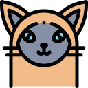 Gato icon