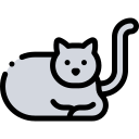 Gato icon