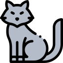 Gato icon