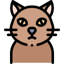 Gato icon