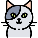 Gato icon