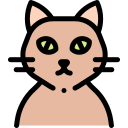 Gato icon