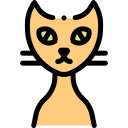 Gato icon