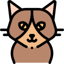 Gato icon