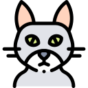 Gato icon