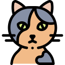 Gato icon