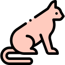 Gato icon