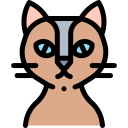 Gato icon