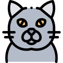 Gato icon