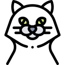 Gato icon