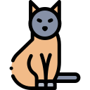 Gato icon