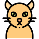 Gato icon