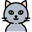 Gato icon